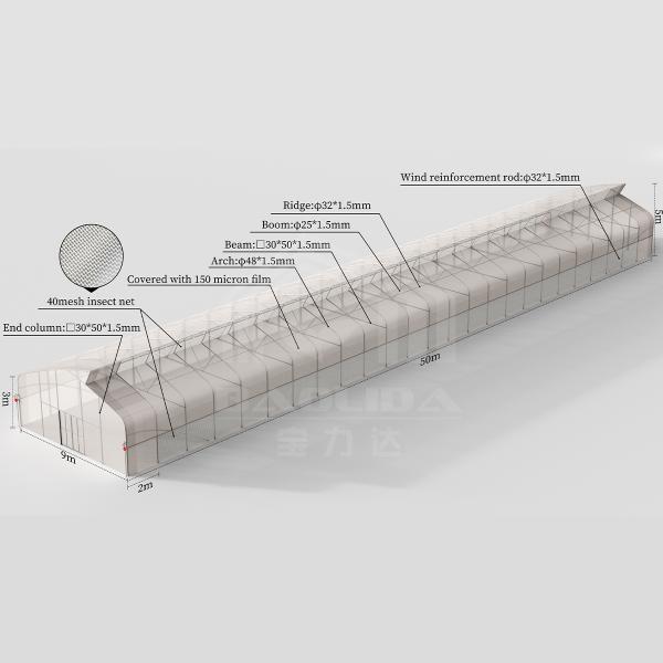 Baolida Sawtooth Greenhouse Cross Roof Agricultural Greenhouse Serre Agricole 
