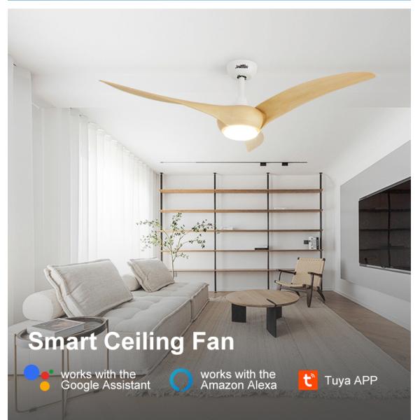 Logotipo OEM 1stshine 54 