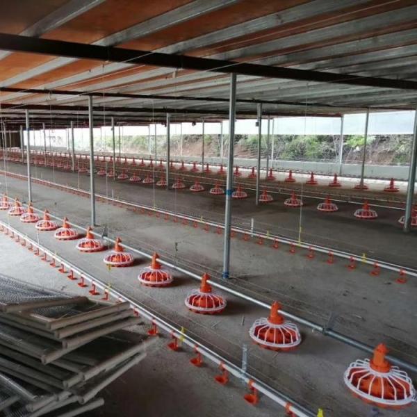 Dia 26.7mm Poultry Farm Equipment Water Line Galvanized Steel 25mm Support Pipe