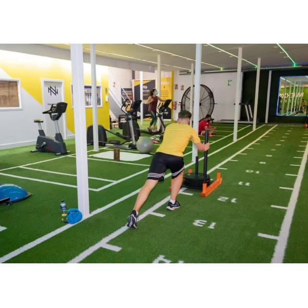 Comfortable Brown Synthetic Grass Sports Flooring for Garden Workout Bliss Gym Turf Mat