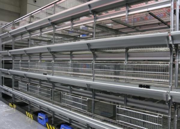 Safety Broiler Chicken Cage 180 Birds Capacity Anti - Fatigue Smooth Surface