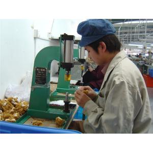 Dongguan City Ming Bao Toys Co., Ltd
