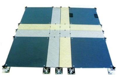 FS1000 CS1000 610 x 610 x 35 mm OA Raised Floor with Trunking 23000 N / m2