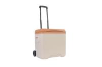 Fishing BBQ Ice Cooler Box PU Foam Insulation For Camping