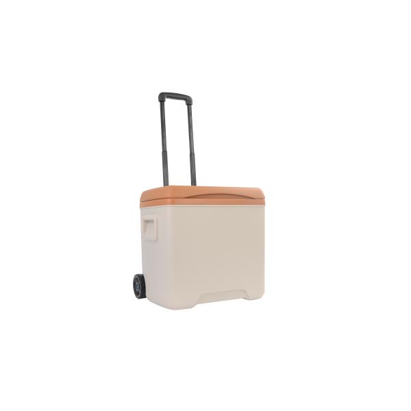 Рыболовный барбекю холодильник для рыбалки