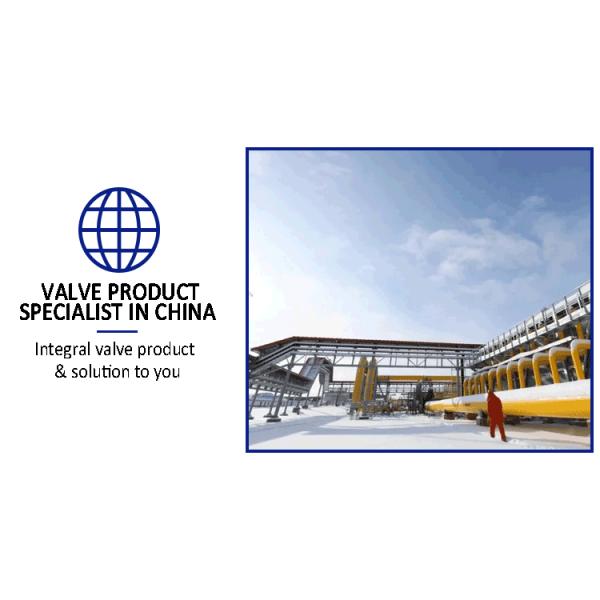 Spring-Loaded Safety Valve ISO9001 Certified for Water Steam Oil