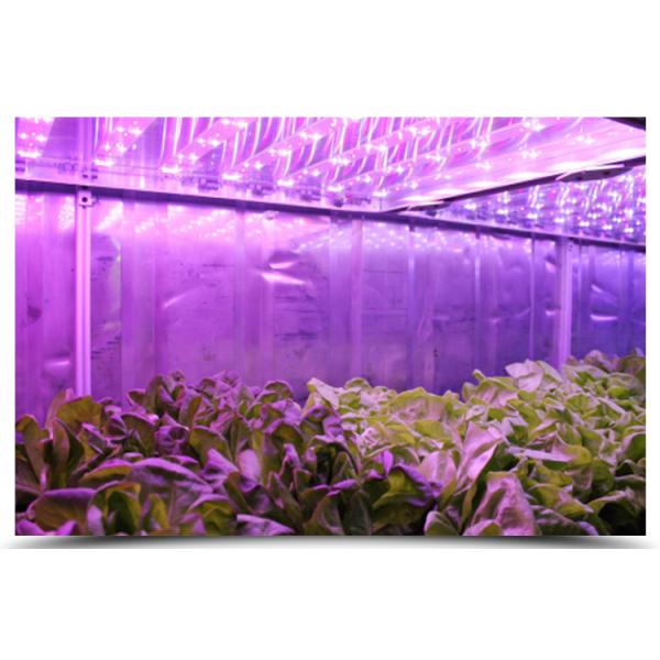 40 футовый контейнер гидропонического интеллектуального сельского хозяйства теплицы с растениями роста светодиодный свет