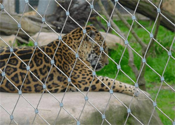 Black Oxide Zoo Enclosure Mesh 1.2mm Knotted High Tensile Woven Wire Mesh Flexible