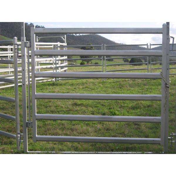 Horse and Sheep Yard Panels for Sale 1.8m x 2.1m 6 Horizontal Rails Oval tube 115x42mm