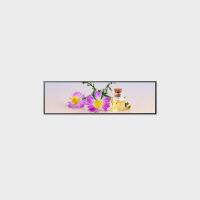 49Affichage LCD de type barre de 0,5 pouce 3840*1080 V par un 250 nits