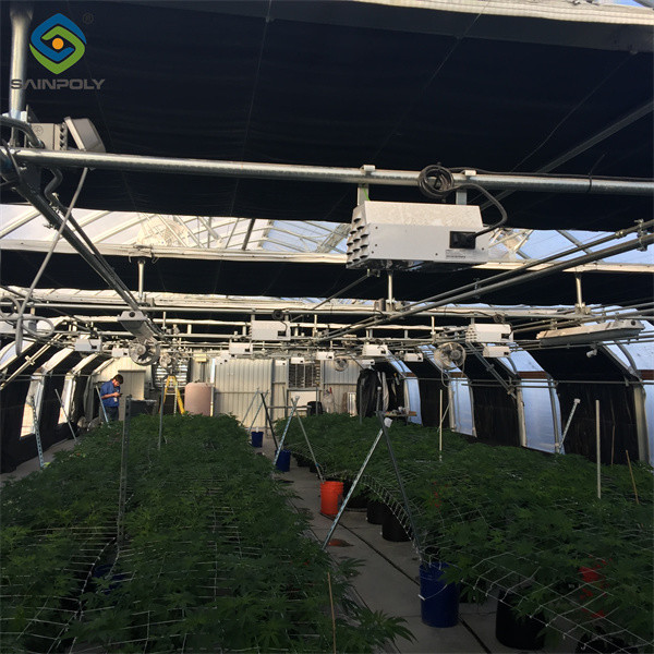 Grande serre à privation de lumière automatisée intelligente pour l'agriculture