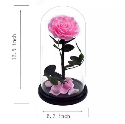 Natural Fresh Roses Flowers Everlasting Preserved Eternal Rose beautiful Rose Preserved Flower