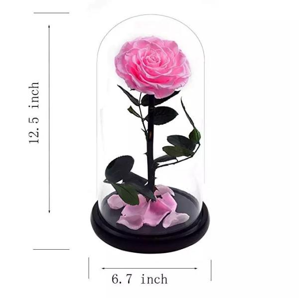 Natural Fresh Roses Flowers Everlasting Preserved Eternal Rose beautiful Rose Preserved Flower