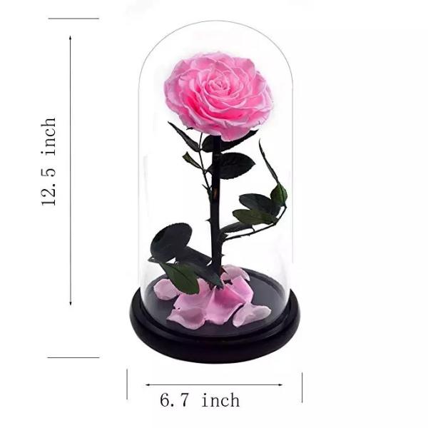 Real Preserved Rose in Glass Dome  use for Office gift or Home Decoration