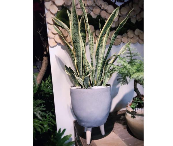 Fiber Clay Pots, outdoor pots, garden pots FR03