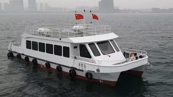 Cabin Cruiser Cruise Ships Boat for Sale