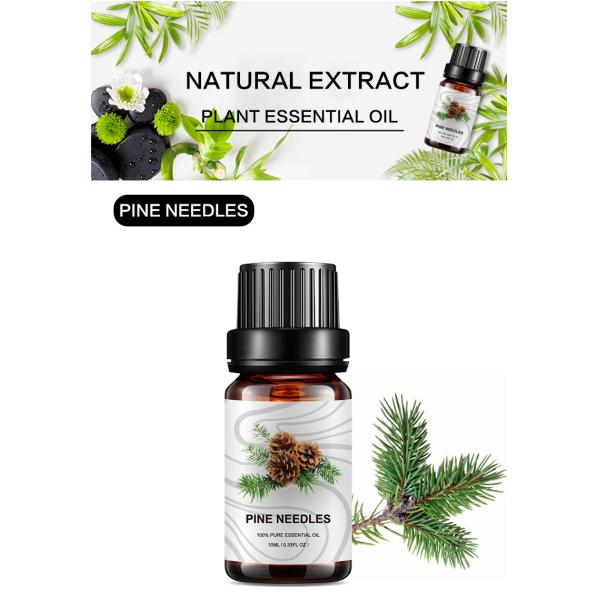 масло иглы сосны MSDS ароматерапии эфирного масла иглы сосны 10ml органическое
