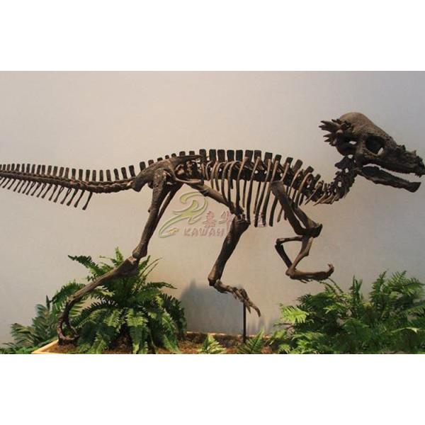 Vivid Complete Dinosaur Skeleton Bones For Science And Technology Museum