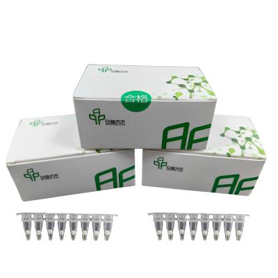 14 meses Armazenamento Kit de Amplificação de PCR Isotérmica Especificidade de Alta Sensibilidade