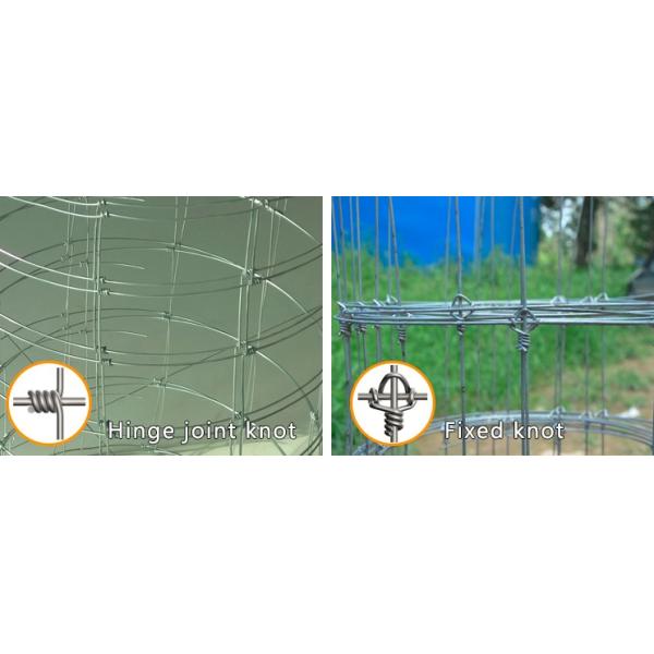 Galvanized Cattle Wire Fence Hinge Joint For Livestock , 0.8-2m Width