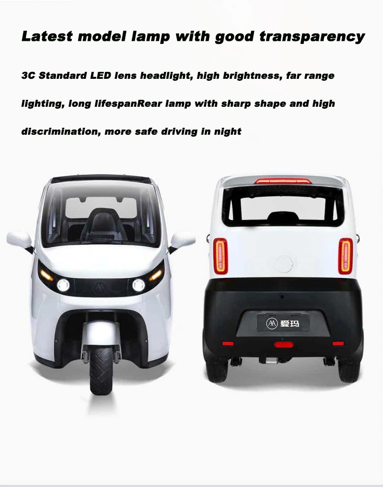 China Raysince  electric three wheelers coc certificate electric car for hot sale