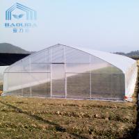 Serre chaude simple en plastique d'envergure de tunnel de film de PE de 200 micros pour l'élevage d'usines d'agriculture