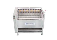 HDF1000 hizo salir la peladora industrial de la piel del jengibre 1000kg/H