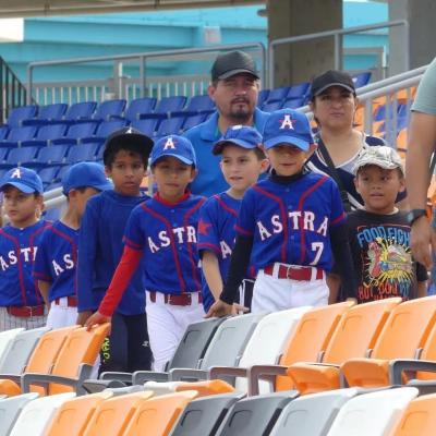 A ponta dobrável plástica acima dos esportes do estádio assenta anti UV antienvelhecimento
