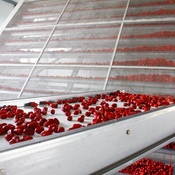 Multilayer Dates Belt Drying Equipment PLC Control Circulating Hot Air Heating