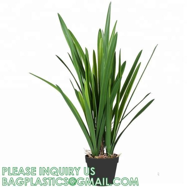 Artificial Plants 6 Pack Onion Tall Grass Greenery, Faux Fake Grass Shrubs Plant Flowers Wheat Grass for House Home