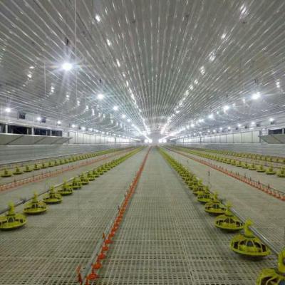 Long Lasting Poultry Floor System with Automatic Feeders for Broilers