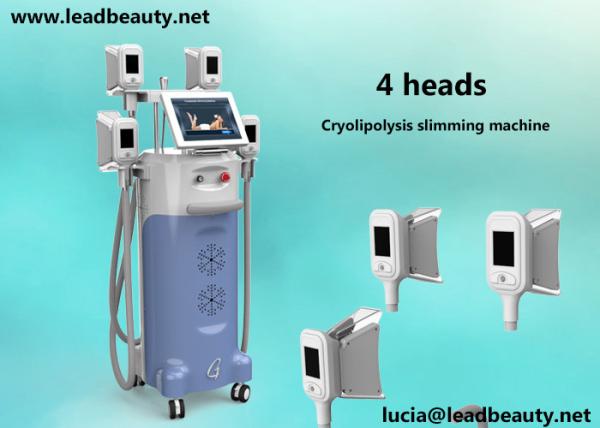 4 handles fat freezing / cryolipolysis slimming  machine / -15℃ fat freezing body sculpting slimming  machine 12 inch