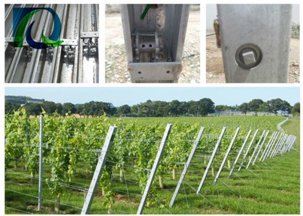 Hot Dipped Galvanized Grape Vine Posts / Heavy Duty Vineyard End Posts For Grape Growing
