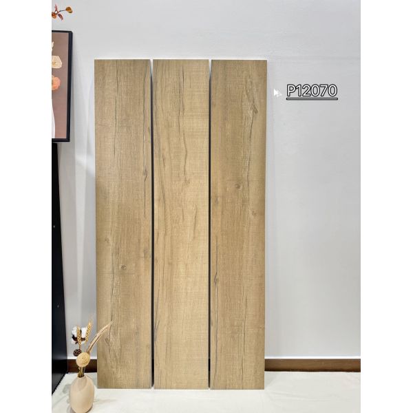 Matt Antibacterial 200x1200mm Indoor Porcelain Floor Tiles For Living Room and Office