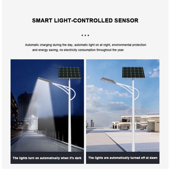 40W-110W Separate Solar Light LED Street Lamp with 18V/100W Monocrystalline Silicon Solar Panel Die Casting Aluminum PC Lens