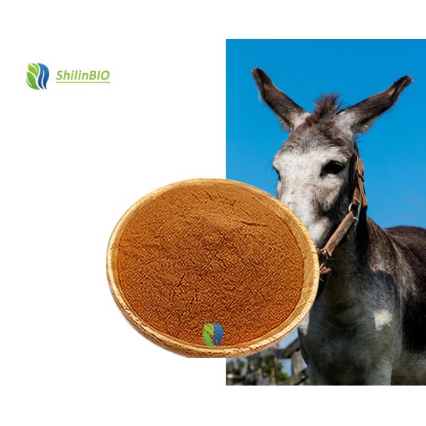 Factory Price Bulk Ejiao Extract Food Grade Donkey-hide Gelatin Powder