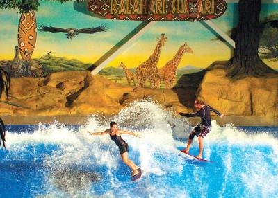 Novidade Flowrider do hotel de parque da água do OEM que surfa simulando o equipamento da máquina para o parque de diversões