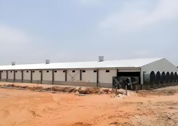 Prefabricated Steel Poultry House Q355B Beams 20lb Roof Load