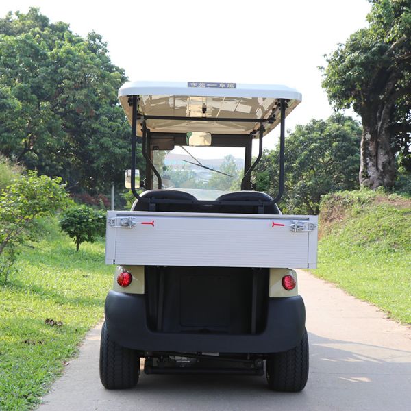 6 Seaters New Design Electric Golf Car Hunting Car with Lithium Battery