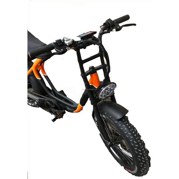 750W Brushless Motor Folding Fat E-Bike with 20inch Tire Big Power and Compact Size