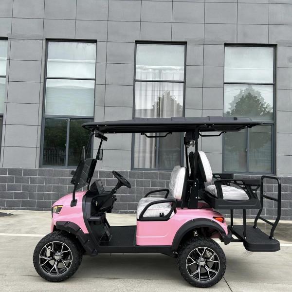 Electric Golf Cart With Canopy 60v 100ah Lead Acid Battery Front Bumper And Radio