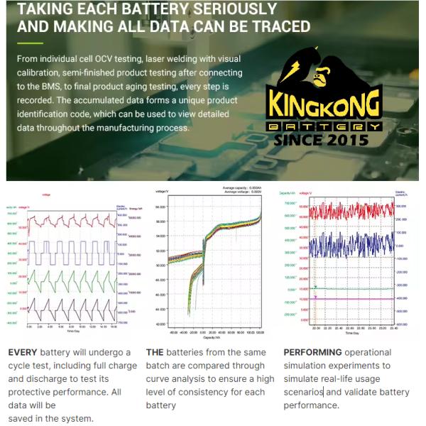 Европейский склад OEM ESS Все в одном 51.2V LiFePO4 аккумуляторный комплект для батарей
