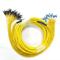 corde de correction de SM Fc LC de branche de noyau de 1m 2m 3m G652D 24