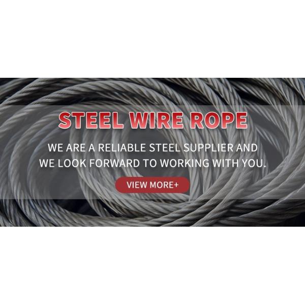 JIS Standard High Strength Coated Galvanized Stainless Steel Wire Rope with Q195/Q235