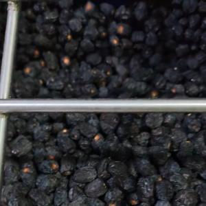 High-capacity Dates Sorting Machine, Deep Learning, 6 lanes+10 outlets, 1.8 Tons per hour, High Efficiency