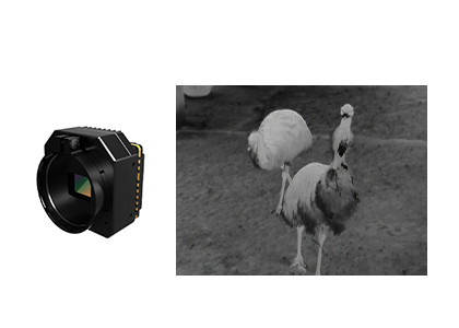 Uncooled Infrared Thermal Camera Module with 640x512 Resolution and 12μm Pixel Size for Low Power Consumption Security Monitoring