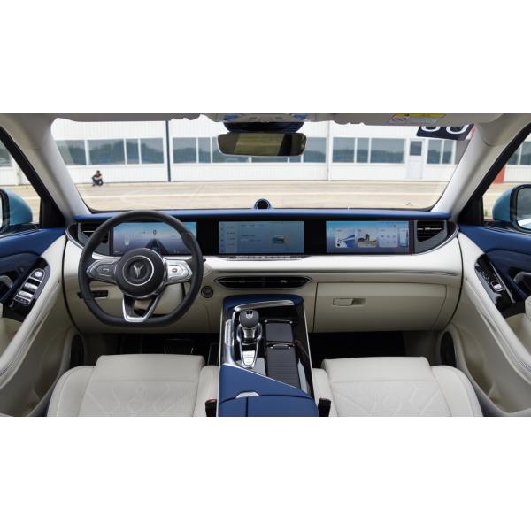 VOYAH FREE 2021 4WD Extended Range Edition Exclusive Luxury Set Medium Large SUV