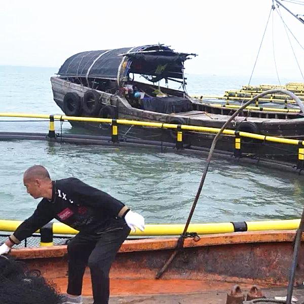 Caja de peces circular de HDPE de 10 m a 50 m de diámetro para acuicultura