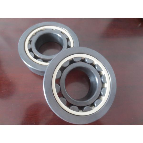 Todos los rodamientos de rodillos de cerámica que NU 310 Si3N4 compite con los rodillos MIRAN A ESCONDIDAS la jaula