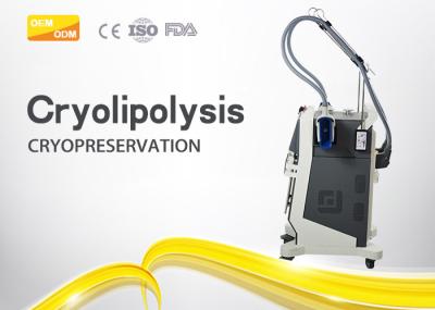 Multi Functional Cryolipolysis Slimming Machine With Two Treatment Head